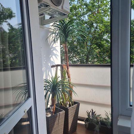 Apartman-Florianska Kosice Bagian luar foto
